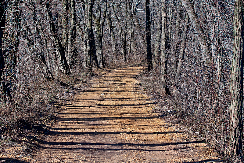 Ted Settle “Tow Path to Where?” Epson 3880 photo print