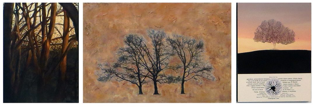 Influences 5 - New Art Group at Hamilton Street Gallery