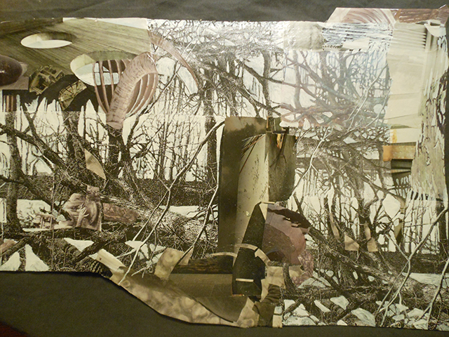 Kelly Clark “Knox” collage